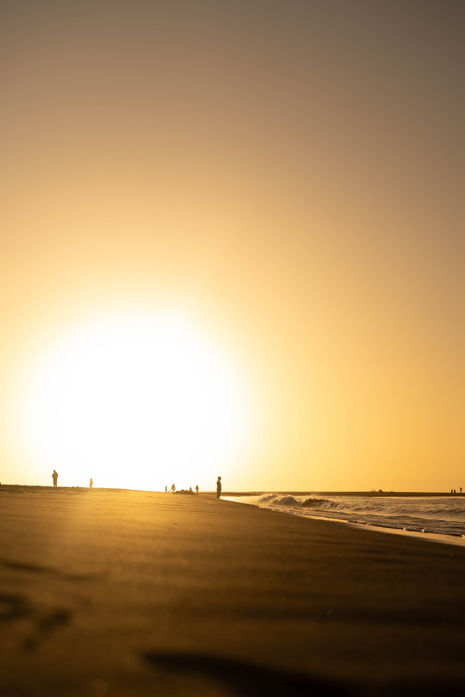 Vista panorámica de parcelas