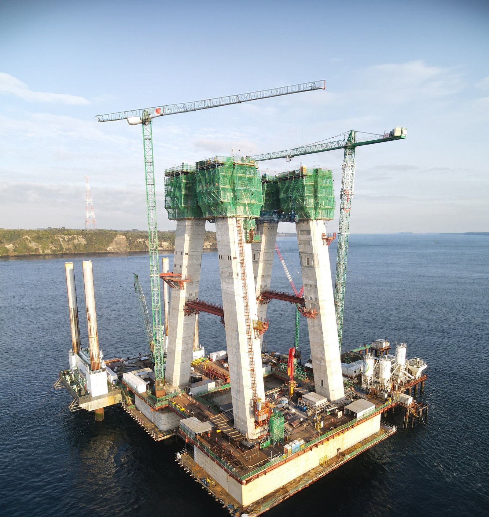 Vegetación del lugar